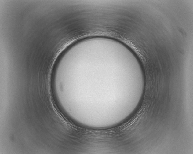 X0000116120440200911230934