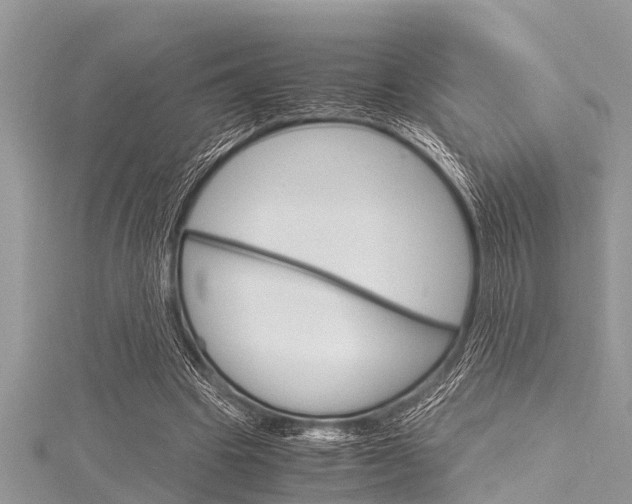 X0000116120441200911230934