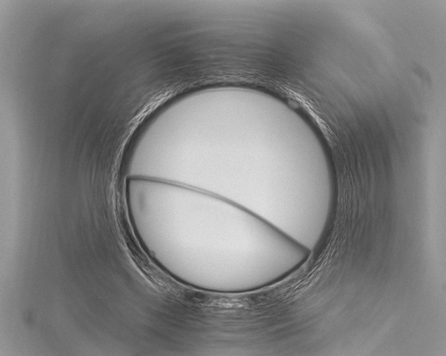 X0000116120443200911230934