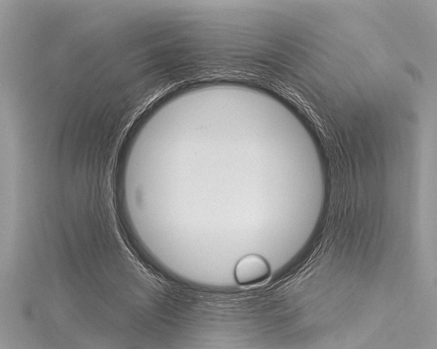 X0000116120444200911230934