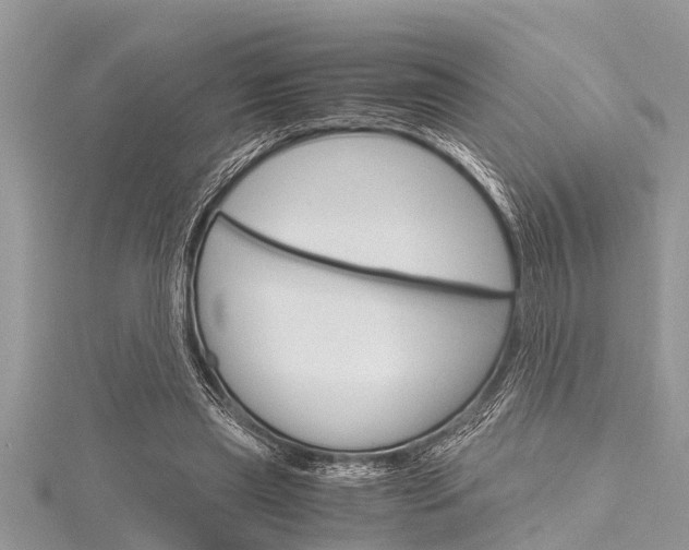 X0000116120445200911230934