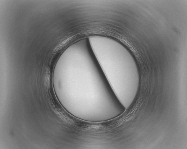 X0000116120446200911230934