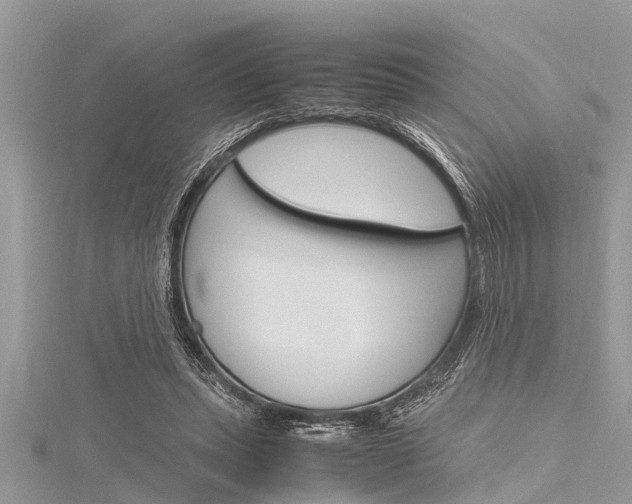 X0000116120447200911230934