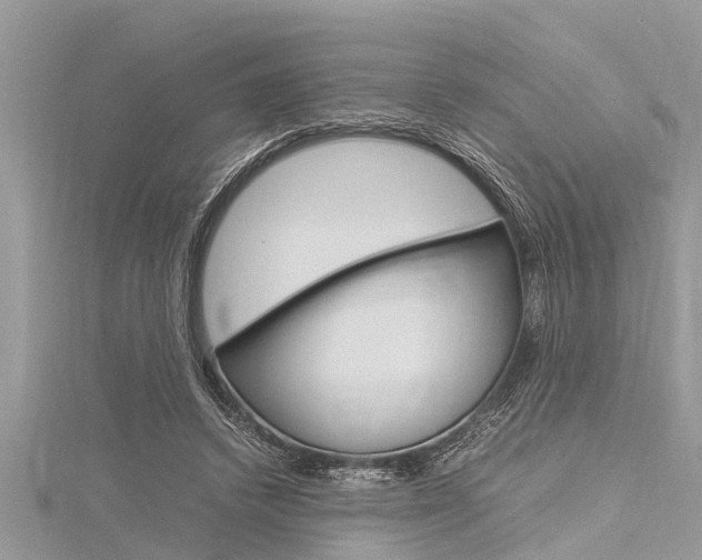 X0000116120448200911230934