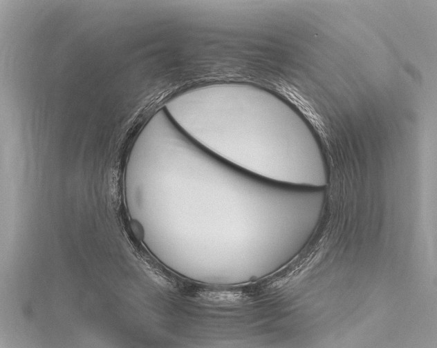 X0000116120449200911230934