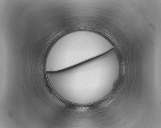 X0000116120450200911230934