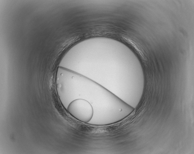 X0000116120451200911230934