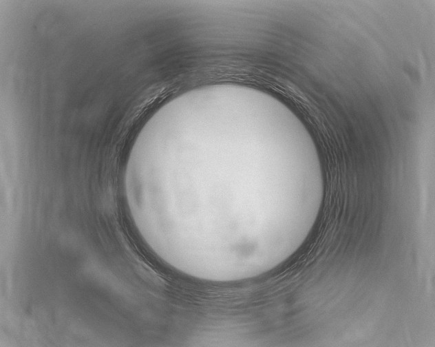 X0000116120452200911230934