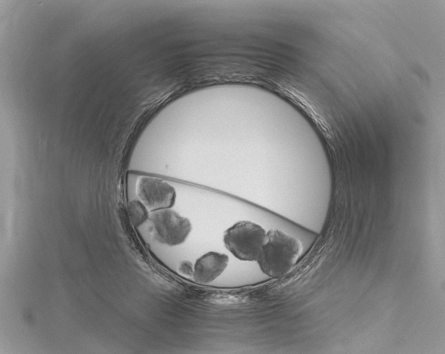 X0000116120453200911230934