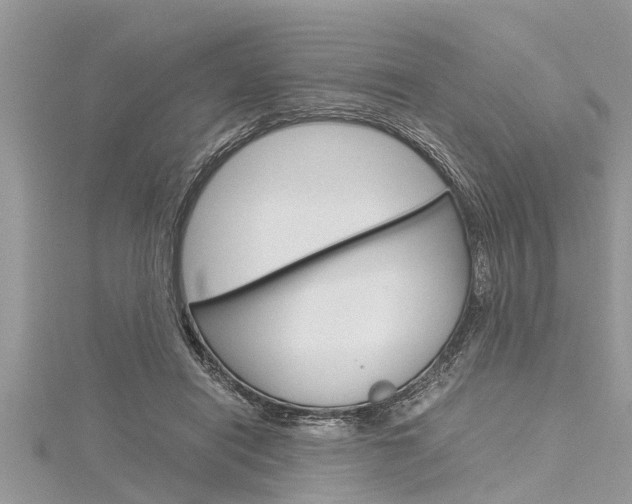 X0000116120454200911230934