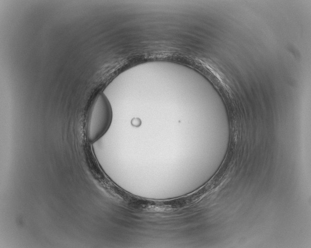 X0000116120455200911230934