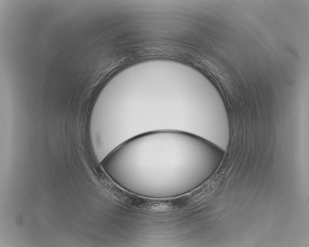 X0000116120456200911230934