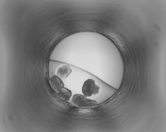 X0000116120457200911230934