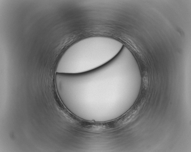 X0000116120458200911230934