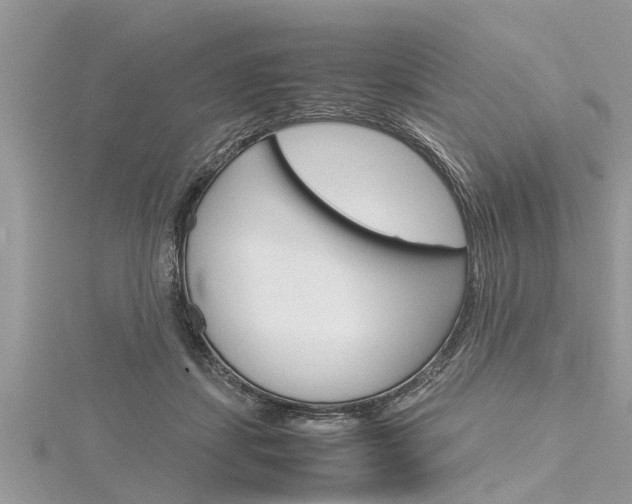 X0000116120459200911230934