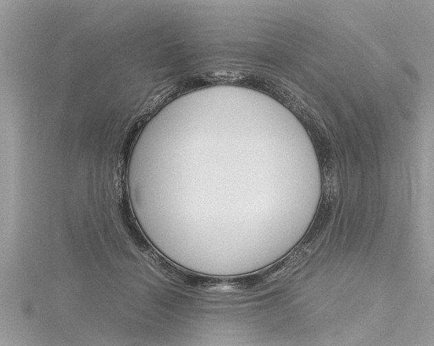 X0000116120460200911230934