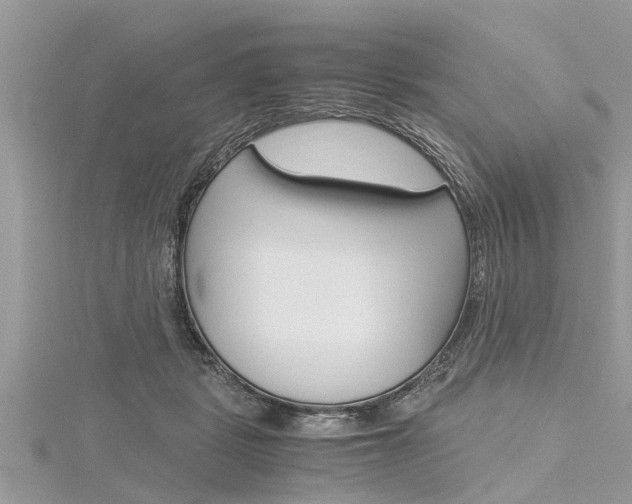 X0000116120461200911230934