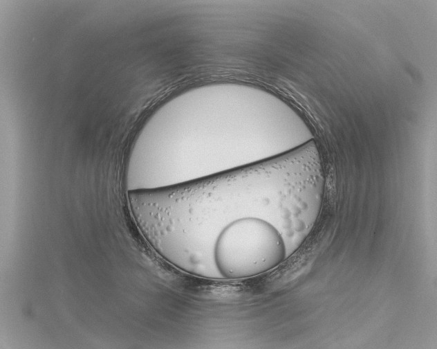 X0000116120462200911230934