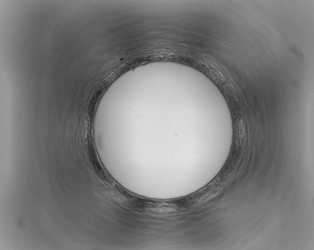 X0000116120463200911230934