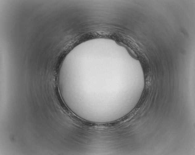 X0000116120464200911230934