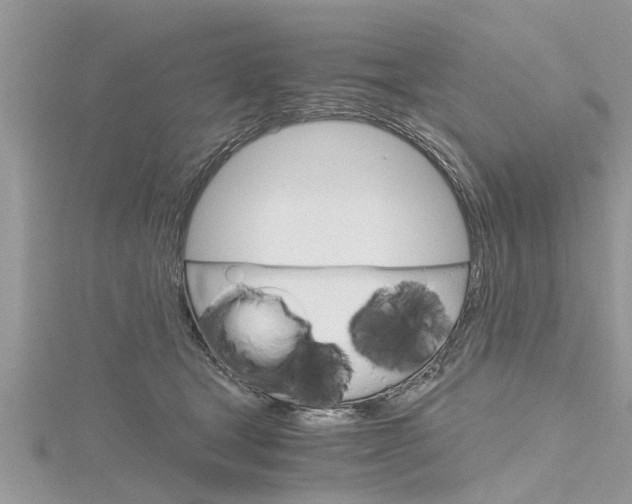 X0000116120465200911230934