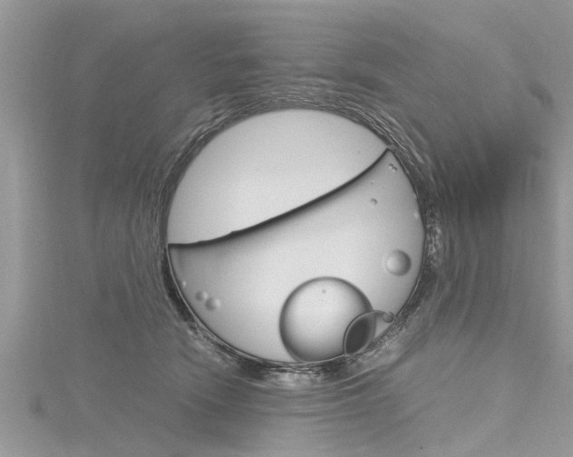 X0000116120466200911230934