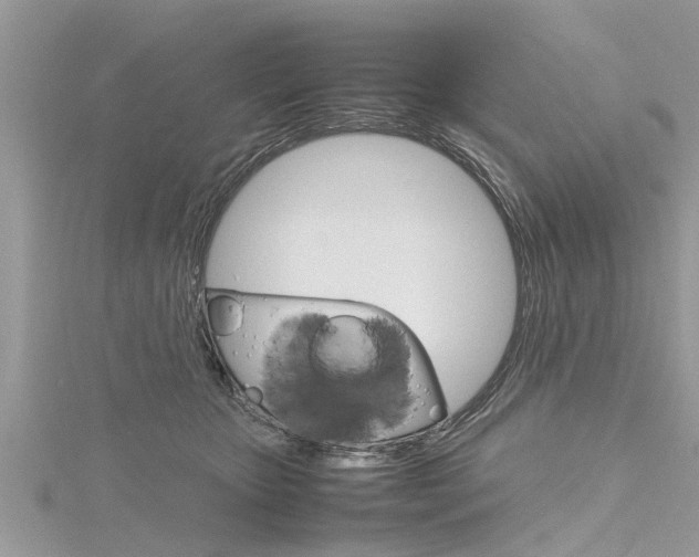 X0000116120467200911230934