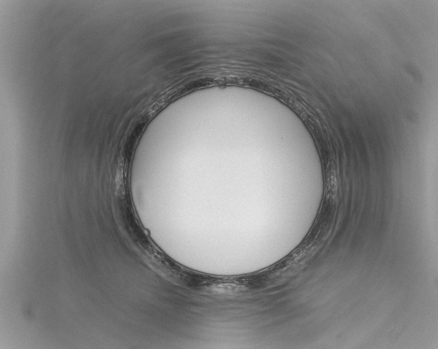 X0000116120468200911230934