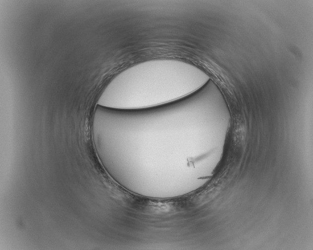 X0000116120469200911230934