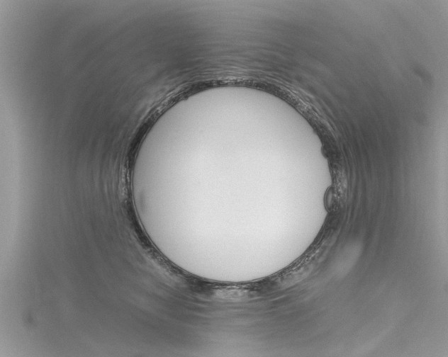 X0000116120470200911230934