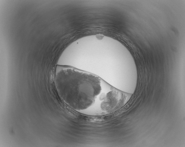 X0000116120471200911230934