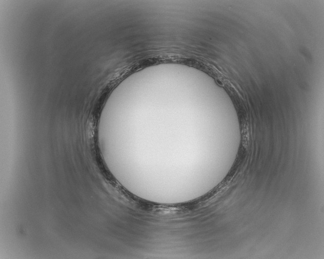 X0000116120472200911230934