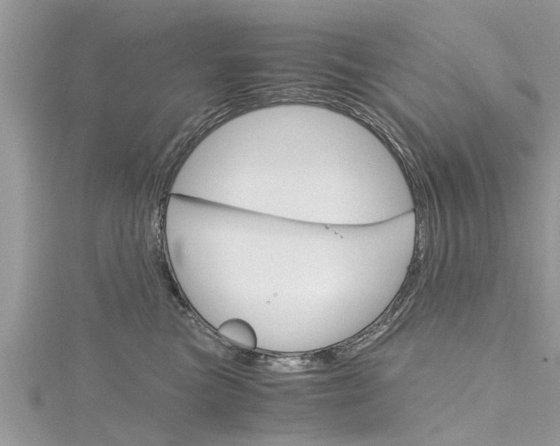 X0000116120473200911230934