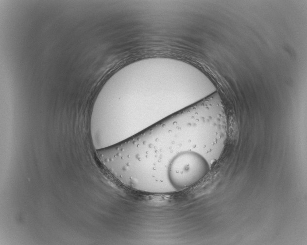 X0000116120474200911230934