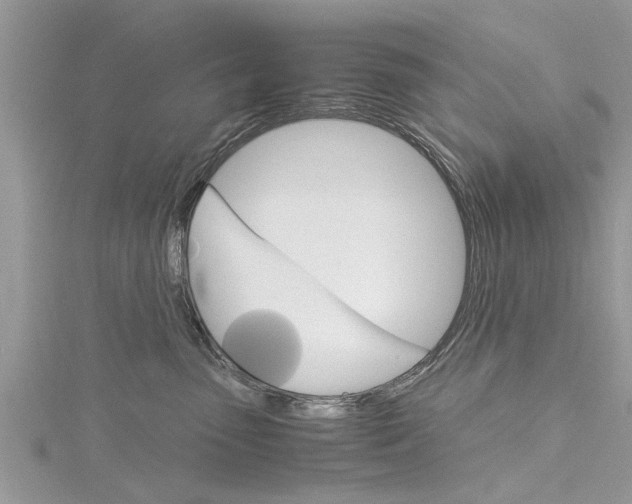 X0000116120475200911230934