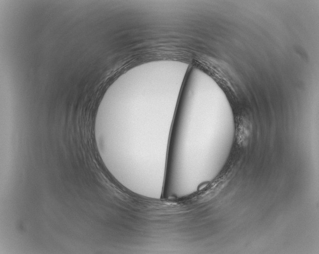 X0000116120476200911230934