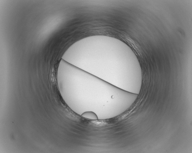 X0000116120477200911230934