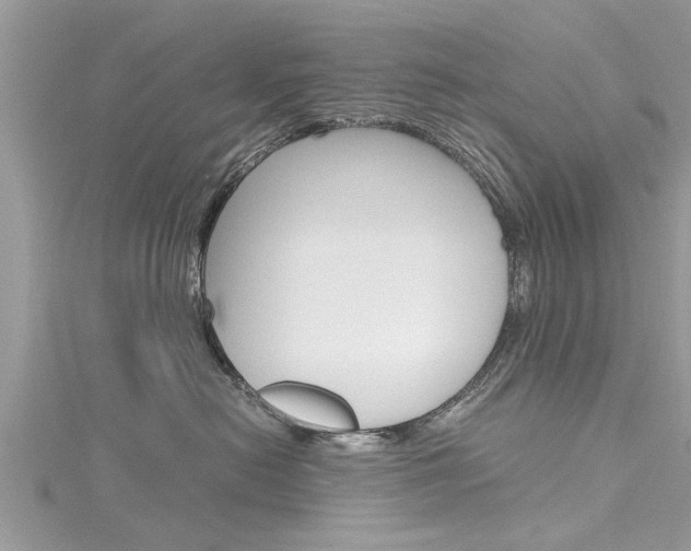 X0000116120478200911230934