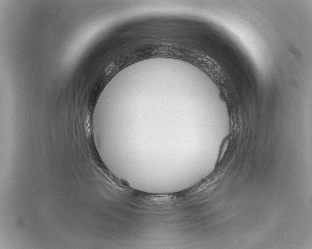 X0000116120479200911230935