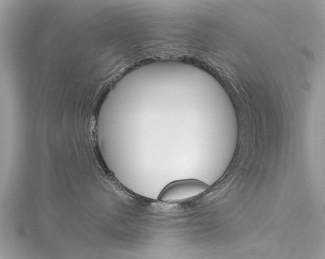 X0000116120480200911230935