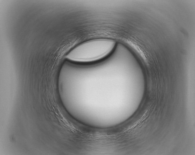 X0000116120481200911230934