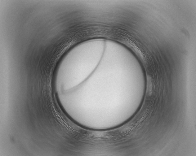 X0000116120482200911230934