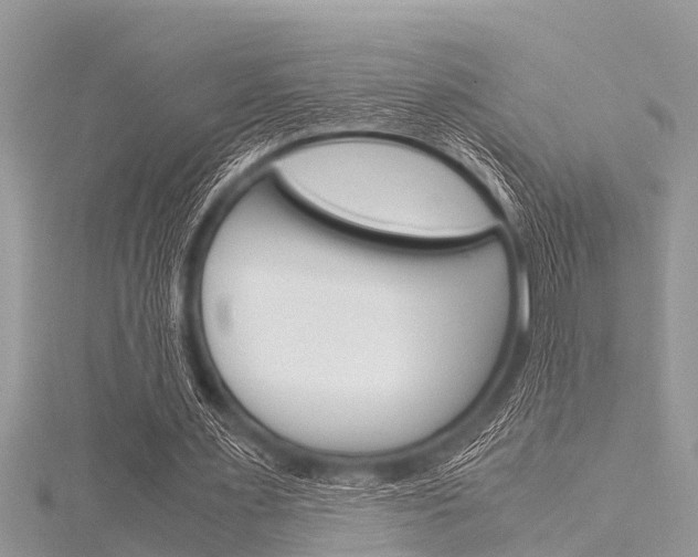 X0000116120483200911230934