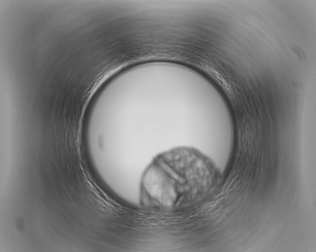 X0000116120484200911230934