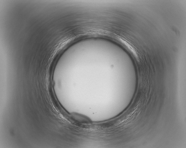 X0000116120485200911230934