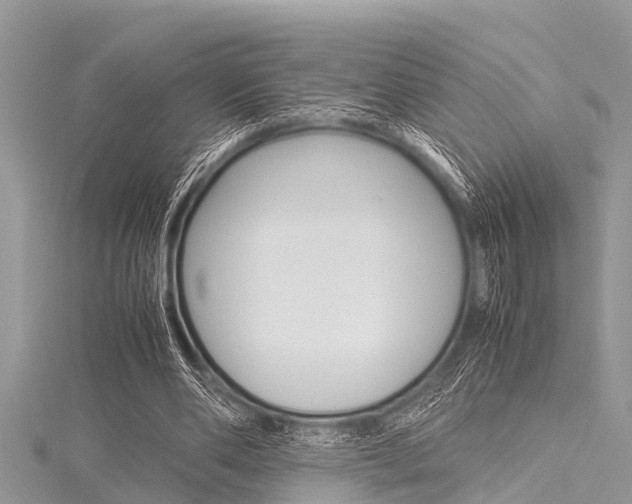 X0000116120486200911230934