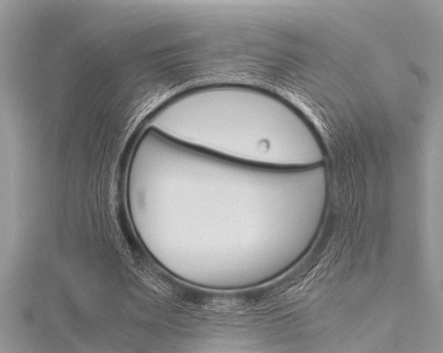 X0000116120487200911230934