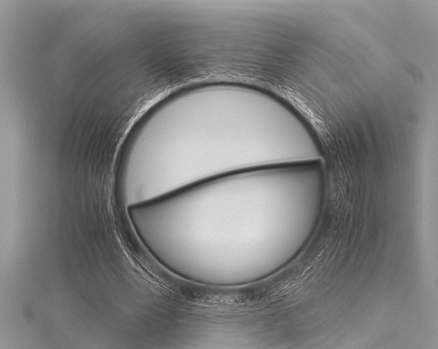 X0000116120488200911230934