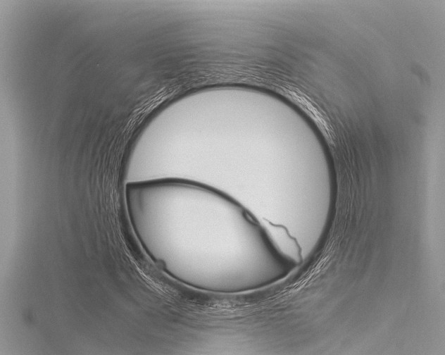 X0000116120489200911230934