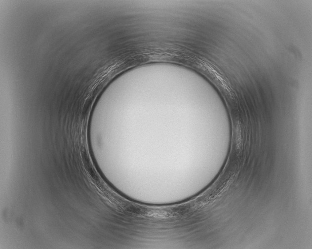 X0000116120490200911230934